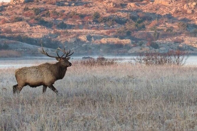 Lake Louise, Banff Gondola, Minnewanka and Banff Town Tour - Key Points