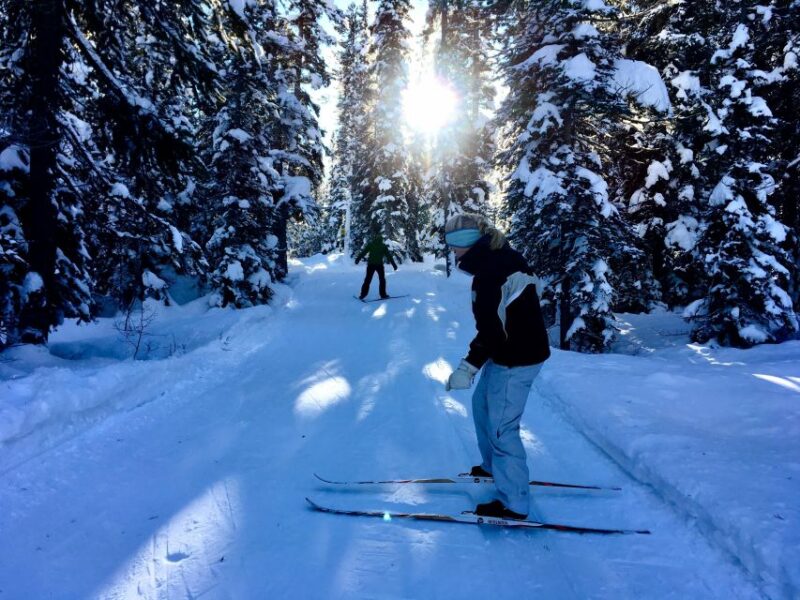 Lake Louise: Cross Country Skiing Lesson with Tour - Key Points