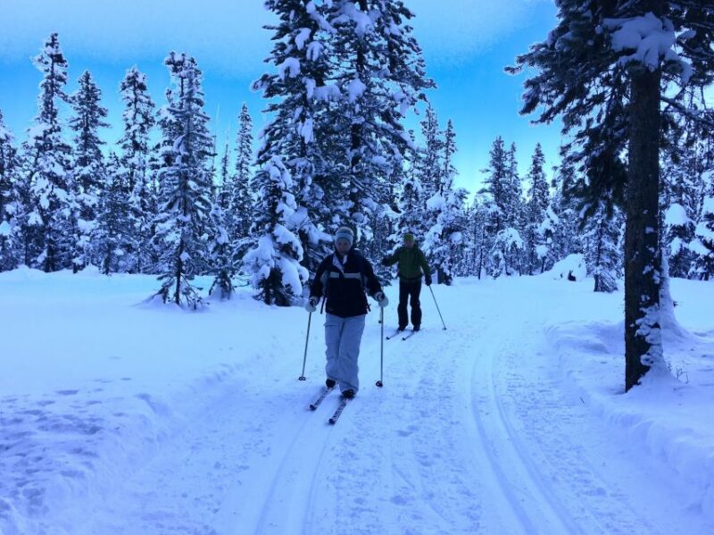 Lake Louise: Cross Country Skiing Lesson with Tour - Location and Meeting Arrangements at Lake Louise