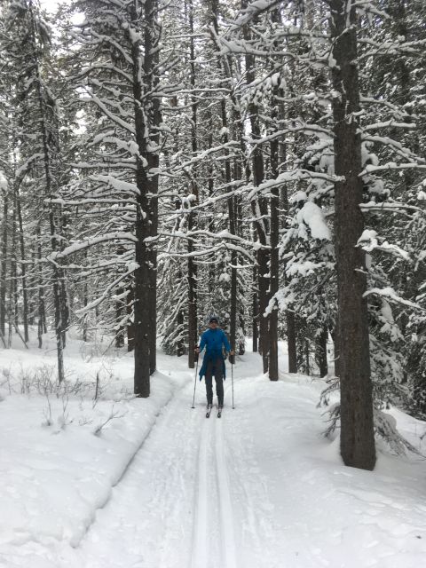 Lake Louise: Cross Country Skiing Lesson with Tour - Equipment and Rentals for Your Ski Day
