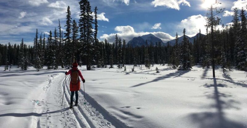Lake Louise: Cross Country Skiing Lesson with Tour - Suitable for Different Types of Skiers