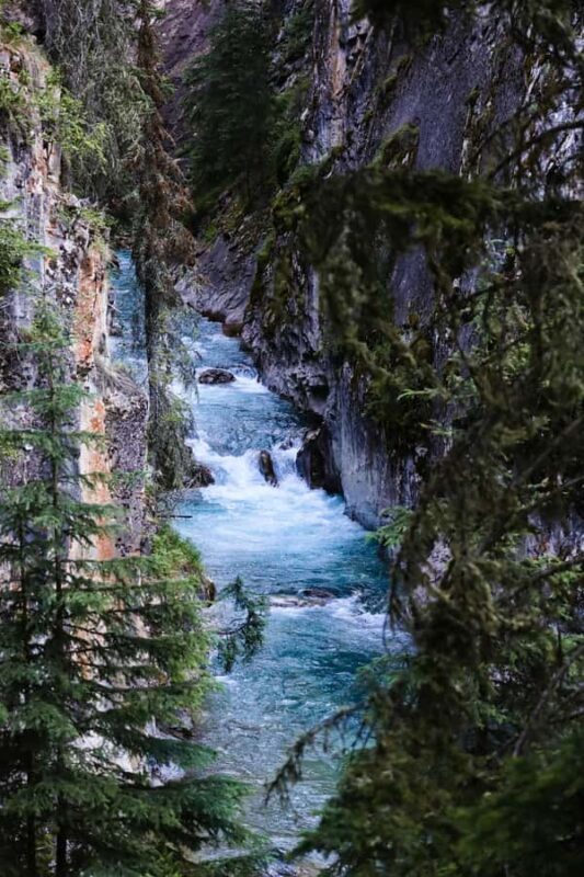 Lake Louise Emerald Lake Johnston Canyon Banff Town YohoTour - Who Will Appreciate This Tour?