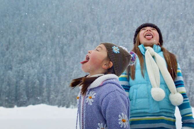 Lake Louise Johnston Canyon Peyto Lake Icefields Parkway Daytrip - Key Points