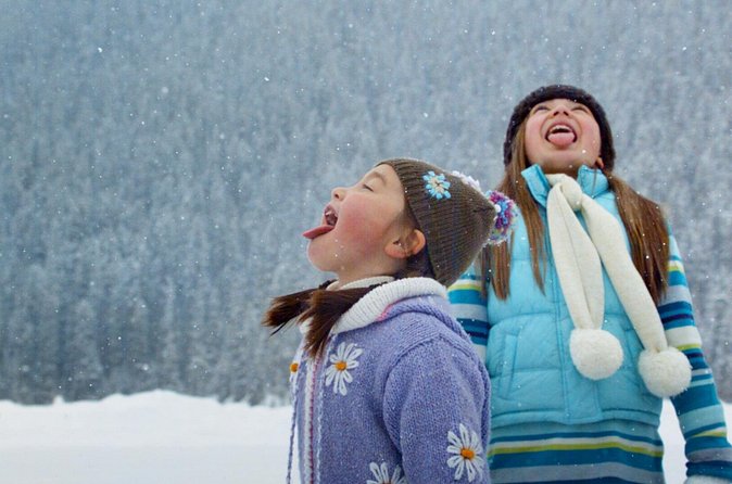 Lake Louise Johnston Canyon Peyto Lake Icefields Parkway Daytrip - Enjoy a Flexible Lunch at Lake Louise Village or Ski Resort