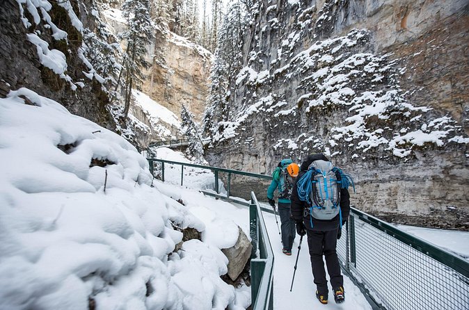 Lake Louise Johnston Canyon Peyto Lake Icefields Parkway Daytrip - Practicalities: Whats Included and Whats Not