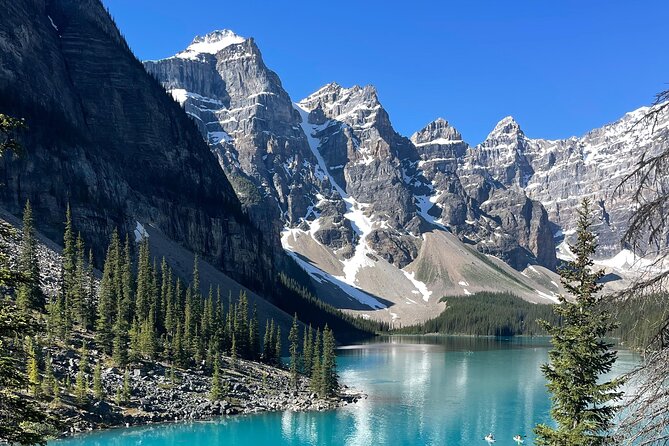 Lake Louise & Lake Moraine Tour - Wildlife Encounters Along the Route