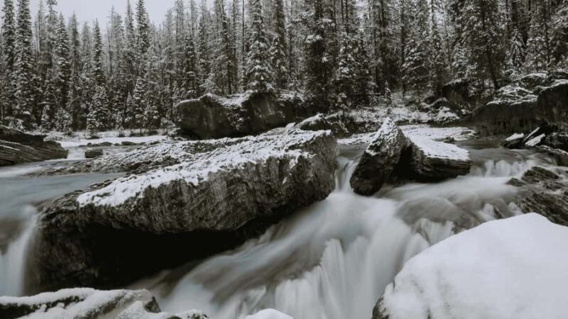 Lake Louise, Marble Canyon, & Emerald Lake - Return and Drop-Off: Comfort and Convenience