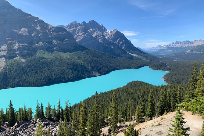 Lake Louise, Moraine Lake and the Icefields Parkway Full-Day Tour - Food, Drinks, and Practical Tips