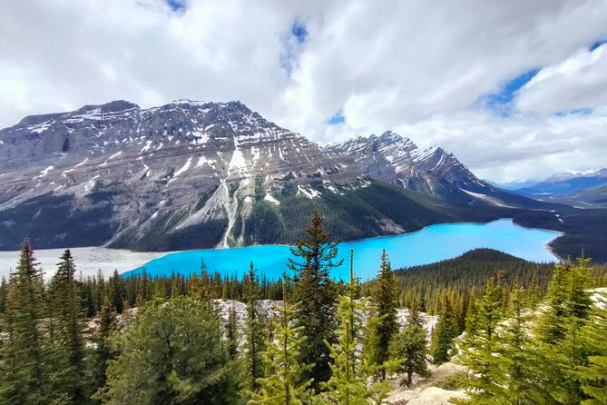 Lake Louise, Moraine Lake, Peyto Lake, Crowfoot Tour from Banff - Visiting Moraine Lake During Peak Season