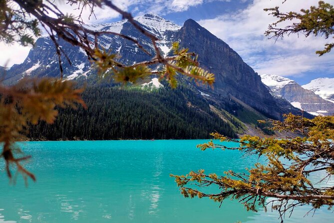 Lake Louise, Moraine Lake, Peyto Lake, Crowfoot Tour from Banff - Lake Louise: From Glaciers to Emerald Waters