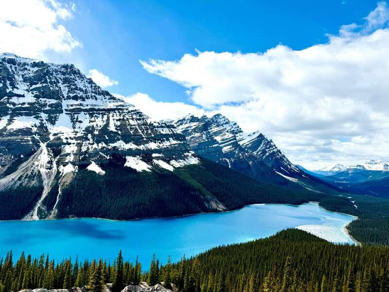 Lake Louise, Peyto Lake, Johnston Canyon & Icefields Parkway - Discover the Best of the Canadian Rockies on a Full-Day Tour for $76