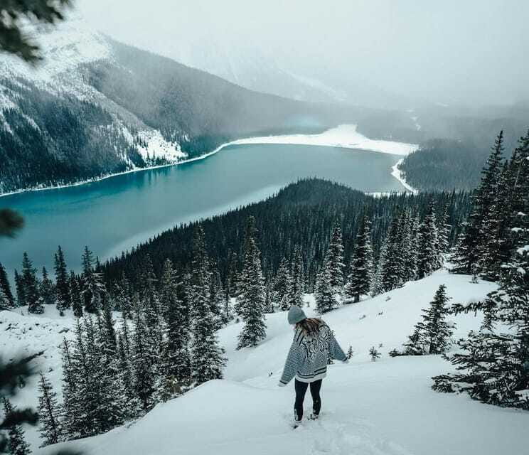 Lake Louise, Peyto Lake, Johnston Canyon & Icefields Parkway - Booking and Cancellation Policy