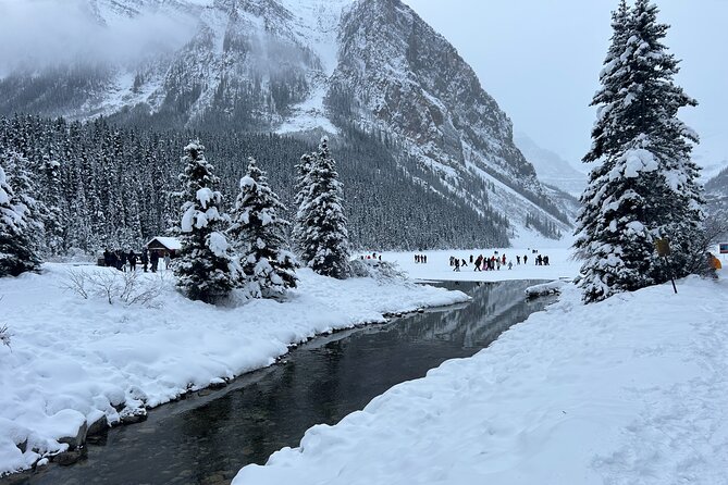 Lake Louise to Calgary or Calgary Airport Private Transfer - Who Will Appreciate This Transfer Service?
