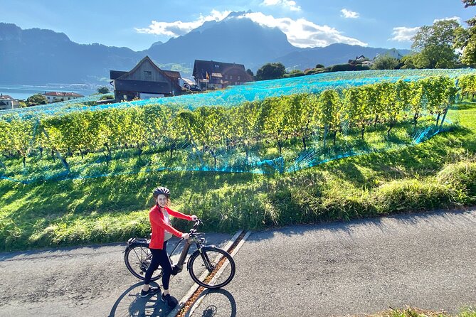 Lake Lucerne Peninsula e-Bike Tour - Practical Details and Booking Flexibility