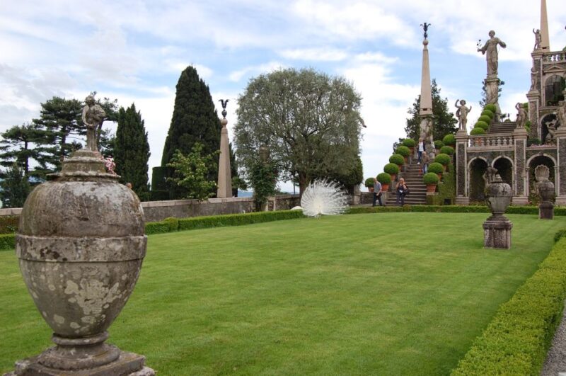 Lake Maggiore: Borromean Islands Tickets with Boat Transfer - Exploring Isola dei Pescatori’s Charm and Local Life