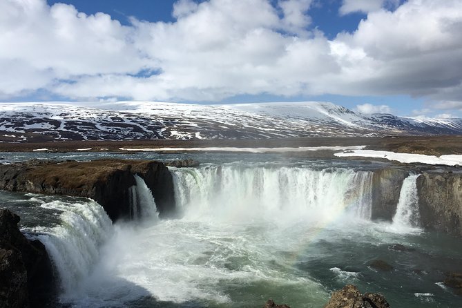 Lake Myvatn, Dettifoss and Goddafoss Waterfalls Day Tour from Akureyri - Geothermal and Volcanic Features at Namafjall Hverir
