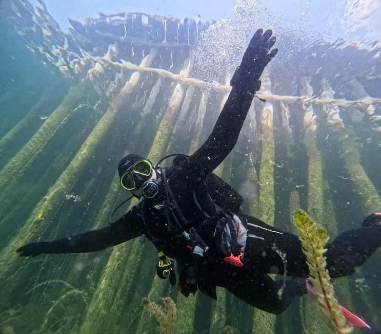 Lake Ohrid: Try Diving at the Bay of the Bones - How the Tour Begins and Where to Meet