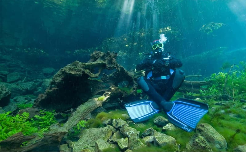 Lake Ohrid: Try Diving at the Bay of the Bones - Flexibility for Advanced Divers and Experience Options