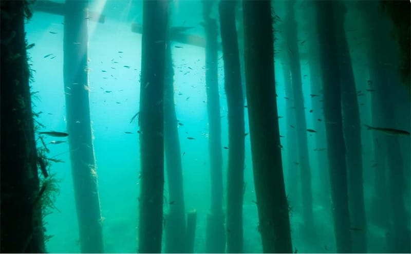 Lake Ohrid: Try Diving at the Bay of the Bones - What to Bring and What Not to Bring