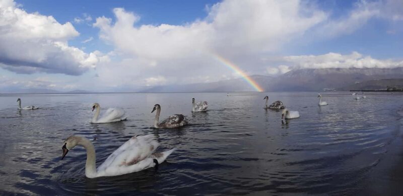 Lake Ohrid: UNESCO Heritage Tour & Hidden Gems - Struga and Kalishta Monastery Highlights
