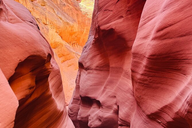 Lake Powell Premium Kayak Rental - Pricing and Cancellation Policy: Flexibility and Value