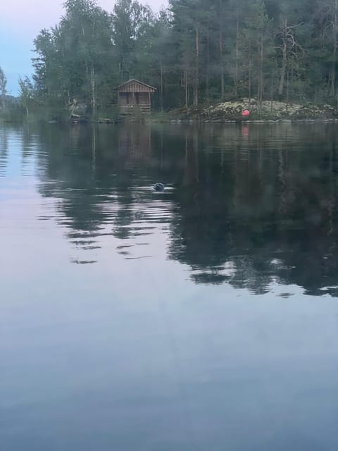 Lake Saimaa story cruise by Ecoboat in Puumala - Discover the Lake Saimaa Story Cruise by Ecoboat in Puumala