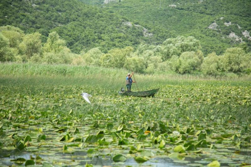 Lake Skadar: Guided Nature Cruise with Drinks - Scenic Drives and Notable Stops Along the Route
