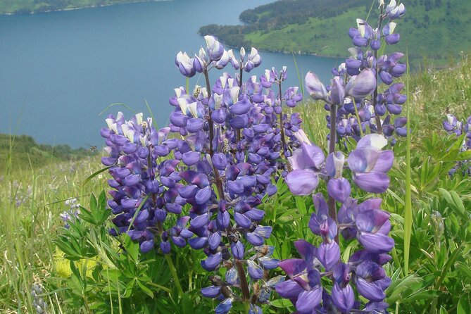 Lake Superior North Shore Self-Guided Audio Driving Tour - Accessibility and Convenience