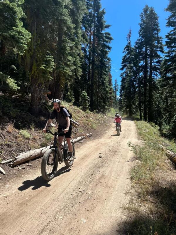 Lake Tahoe: Guided Scenic Bike Experience - What Makes the Trail Unique: Views and Accessibility