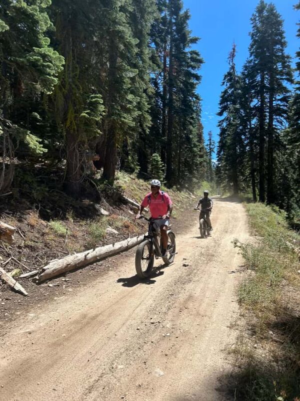 Lake Tahoe: Guided Scenic Bike Experience - Equipment and Guide Services: Ensuring a Smooth Ride