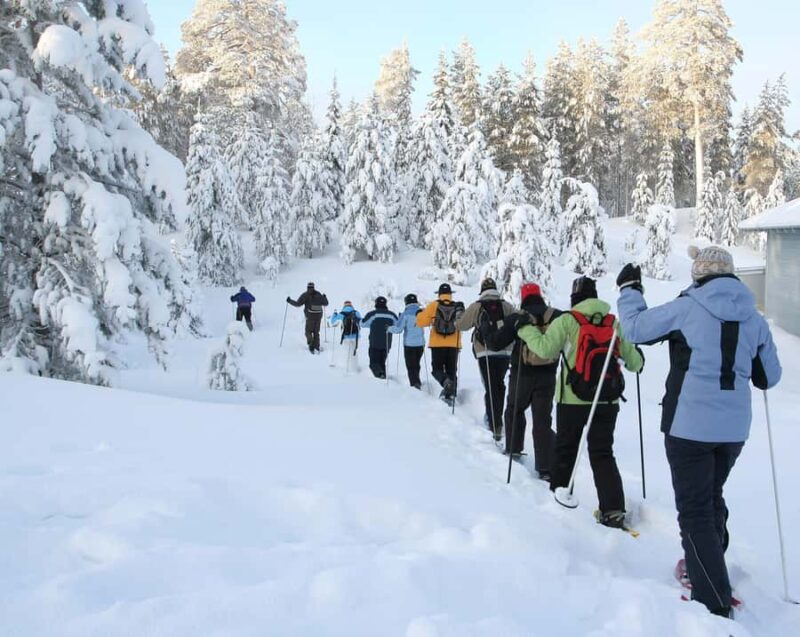 Lake Tahoe: Scenic Snowshoe Tour in a Winter Wonderland - Meeting Point and Trailhead Flexibility in Lake Tahoe