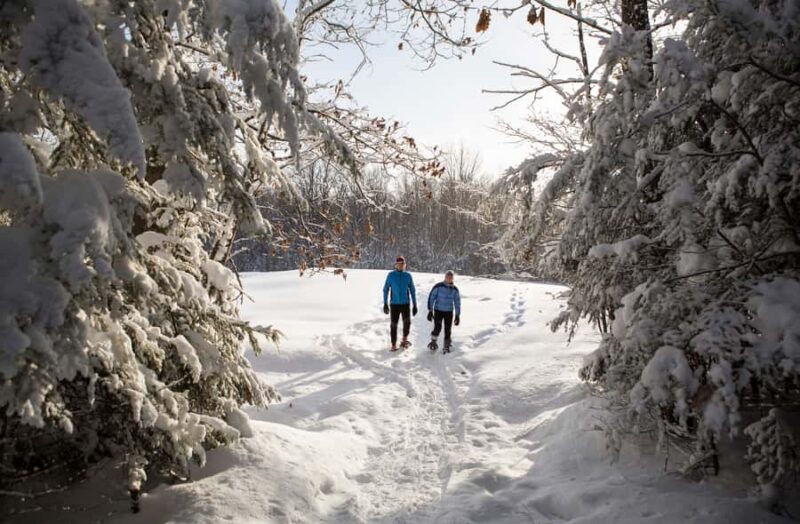 Lake Tahoe: Scenic Snowshoe Tour in a Winter Wonderland - Comfort and Refreshments During the Tour