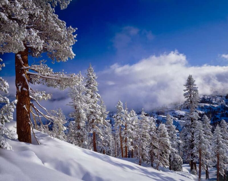 Lake Tahoe: Scenic Snowshoe Tour in a Winter Wonderland - Comparing This Tour to Other Winter Activities in Lake Tahoe