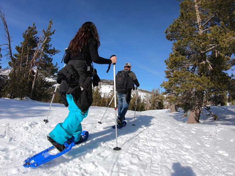 Lake Tahoe: Sunset Snowshoe Trek with Hot Drinks and Snacks - Meeting Location and Weather Considerations