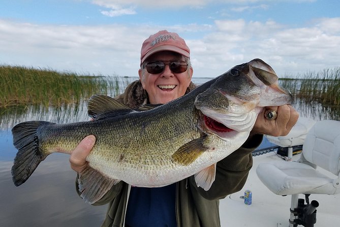 Lake Trafford Fishing Trips near Naples Florida - The Experience at Lake Trafford: Wildlife and Scenery