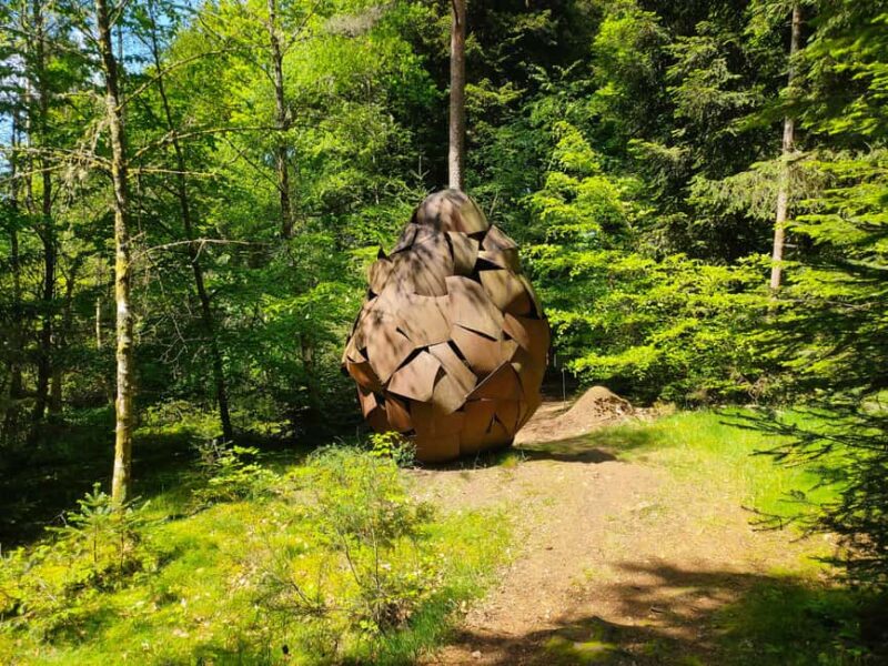 Lake Vassivière: The Grand Tour of the Lake in a Day - Scenic Stops along Lake Vassivière: Panoramas and Beaches