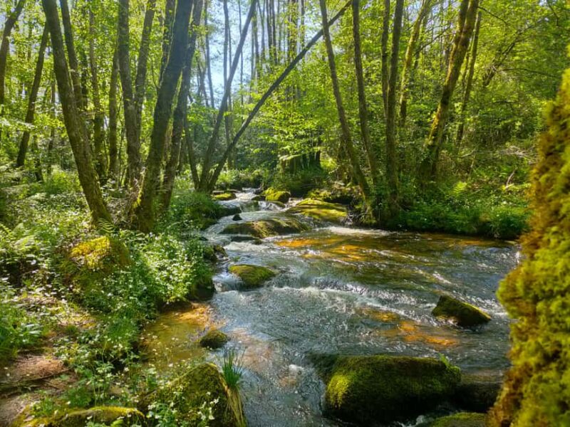 Lake Vassivière: The Grand Tour of the Lake in a Day - Practical Details for the Lake Tour Experience