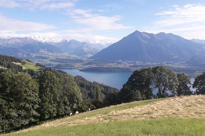 Lake View CLOY Hangbridge Sigriswil City Thun Castle Spiez Privat - Beatenbergs Aerial Views of Lake Thun