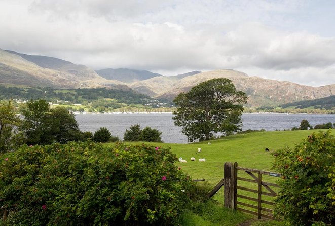 Lakes & mountains, spectacular scenery with an easy short walk - Scenic Drive Through the Lakeland Countryside to Tarn Hows
