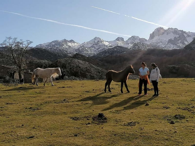 Lakes of Covadonga and Sanctuary of Covadonga: Guided and interpreted tour - Key Points