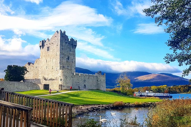 Lakes of Killarney Cruise - Comparing the Cruise with Other Killarney Tours