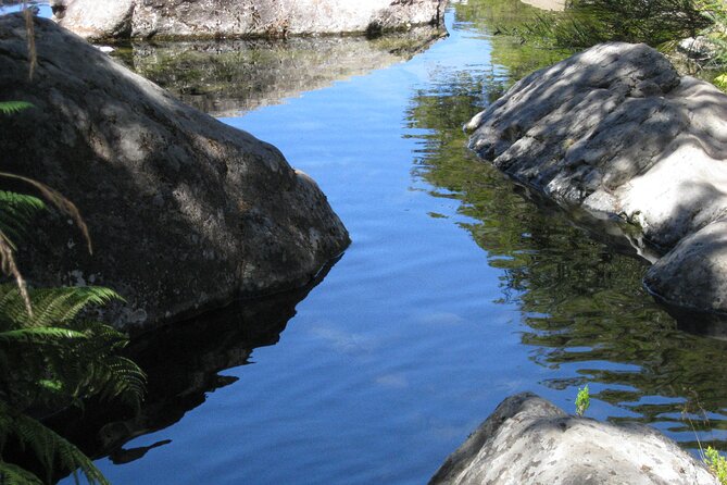 Lakes of Madeira- Alecrim Full day walk - Practical Details: Timing, Group Size, and Weather