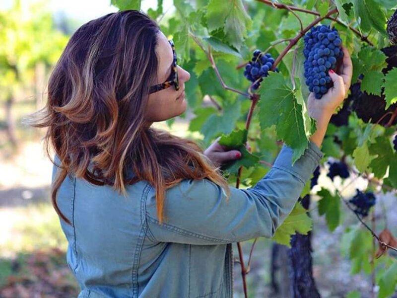 Lalez Wine Tasting, Wine Tour, Kayak & Full Lunch Experience - Discover the Lalez Wine Tasting and Kayak Tour: A Full-Day Albanian Escape