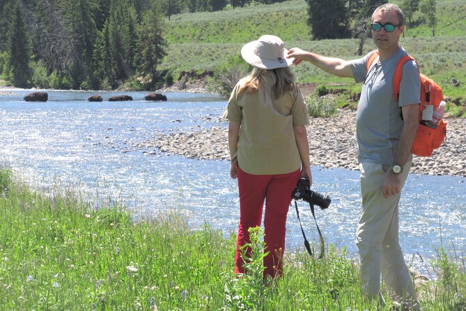 Lamar Valley Safari Hiking Tour with Lunch - The Departure Point at Lamar River Trailhead