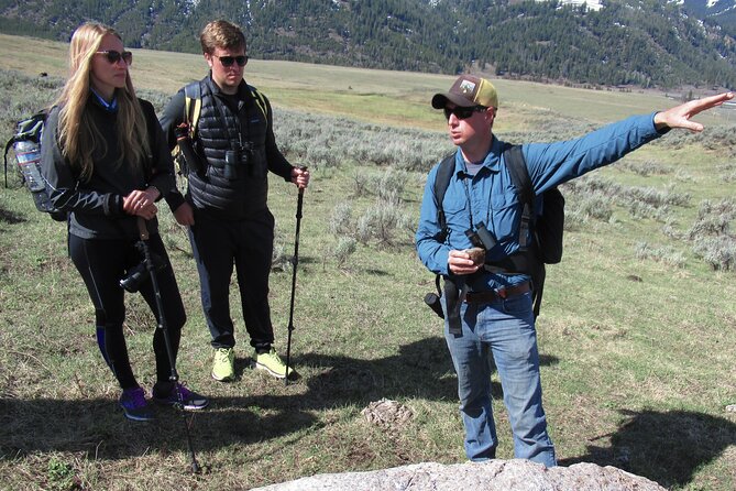 Lamar Valley Safari Hiking Tour with Lunch - Wildlife Encounters and Notable Sightings