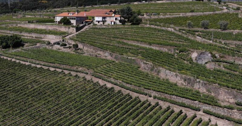 Lamego: Quinta da Portela de Baixo Winery Tour and Tasting - Frequently Asked Questions