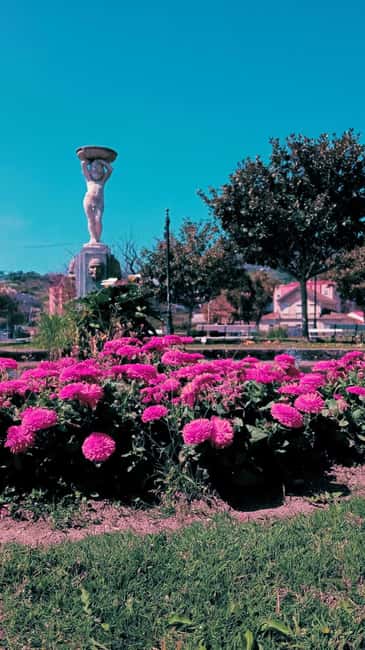 LAMEGO: Walking tour of the city center 2H - Sightseeing at the Theater Ribeiro Conceição