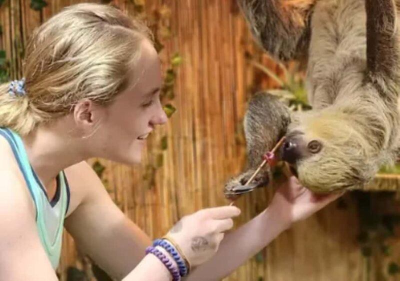 Lamont: Sloth Encounter at North Florida Wildlife Center - How the Sloth Encounter is Conducted