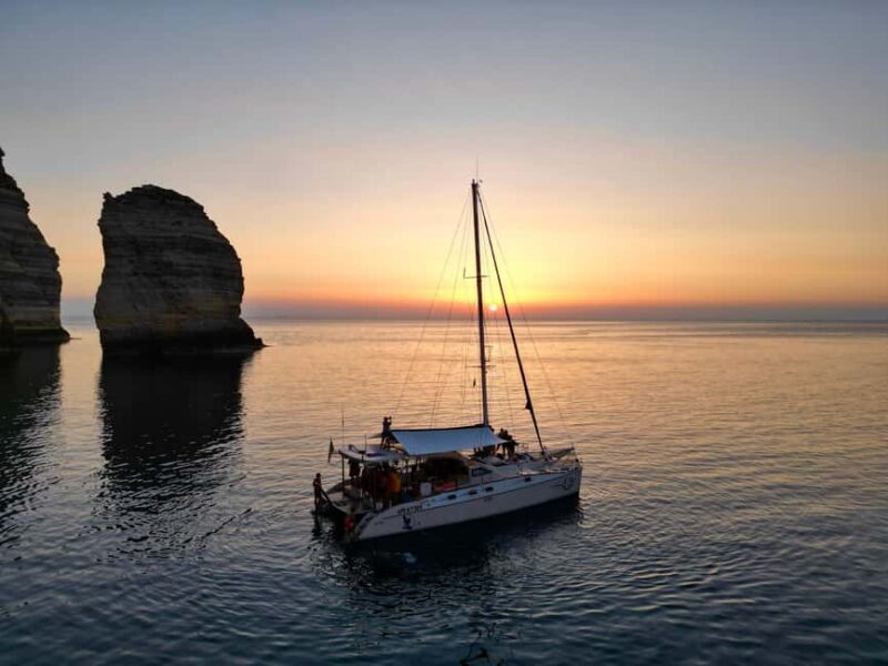 Lampedusa: Dolphin watching with aperitif at sunset - Watching Dolphins and Turtles at Sunset