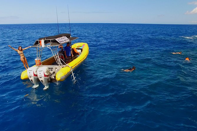 Lanai Deluxe Dolphin Adventure & 3 Snorkel Sites - Departing from Lahaina for Lanai’s Snorkel Spots